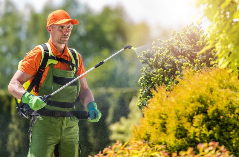 Pest Management Service in Frisco, TX