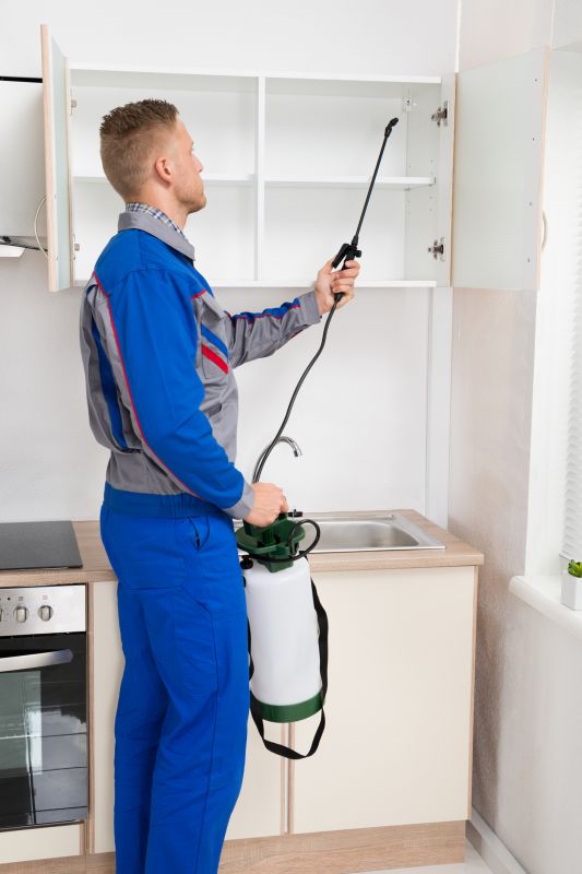 Silverfish Extermination in Frisco, TX