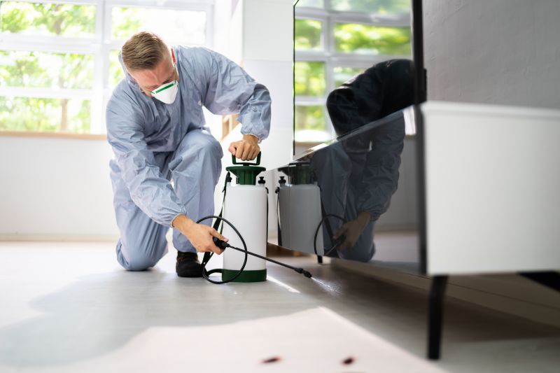 Skunk Removal Cost — Cost of Skunk Removal